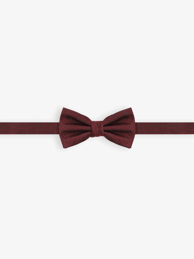 Nœud papillon fantaisie bordeaux - IZAC