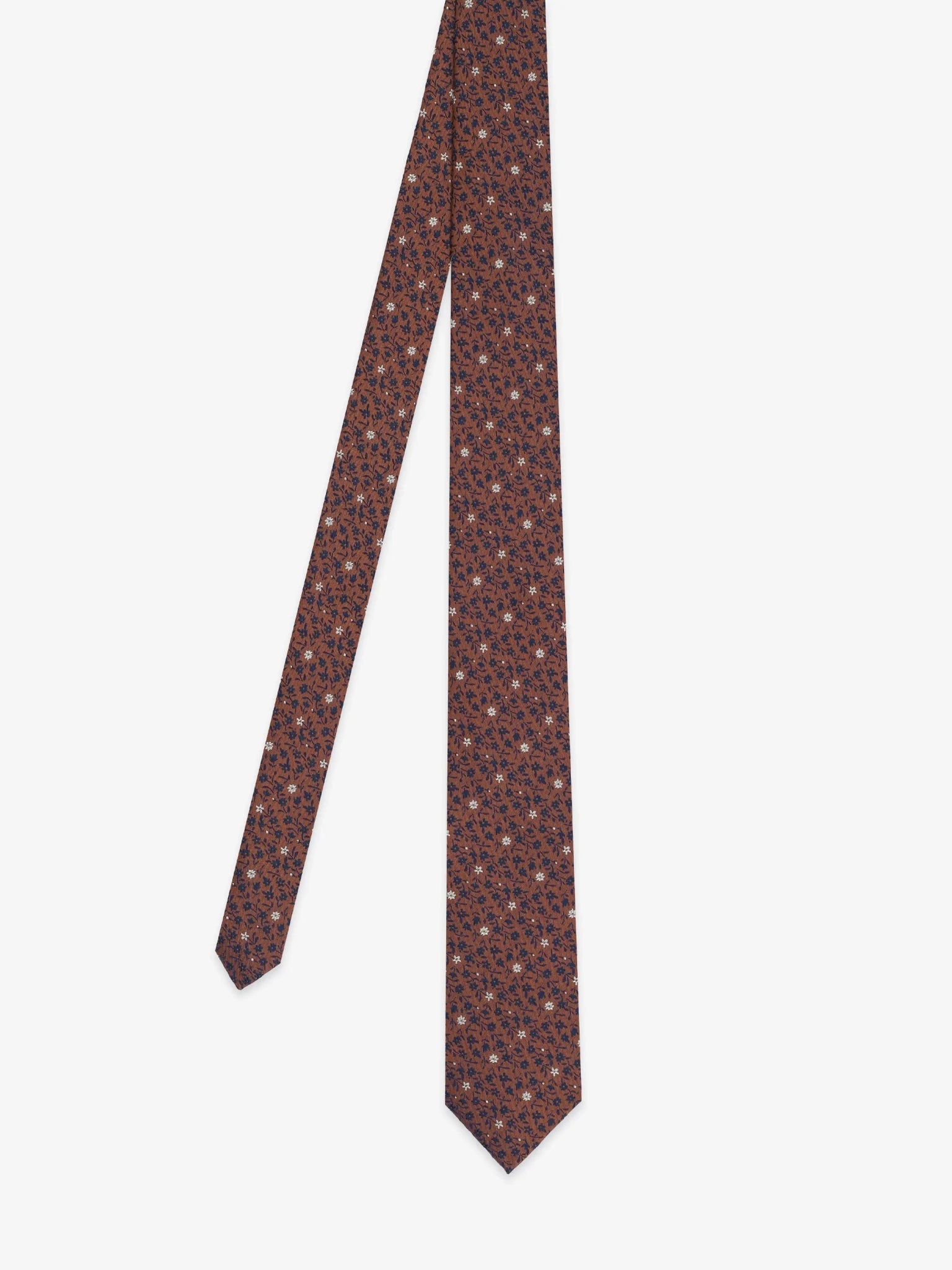 Cravate fantaisie marron - IZAC