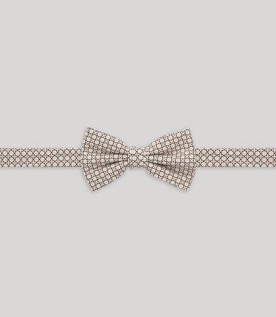 Noeud papillon fantaisie beige - IZAC