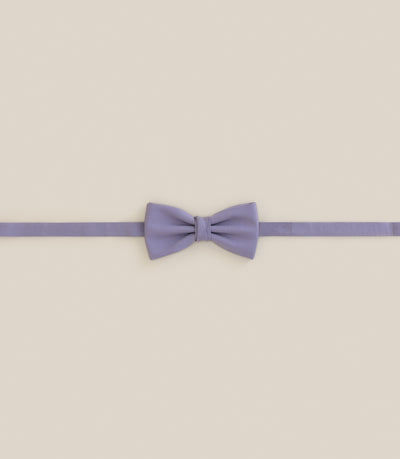 Noeud papillon original parme - IZAC
