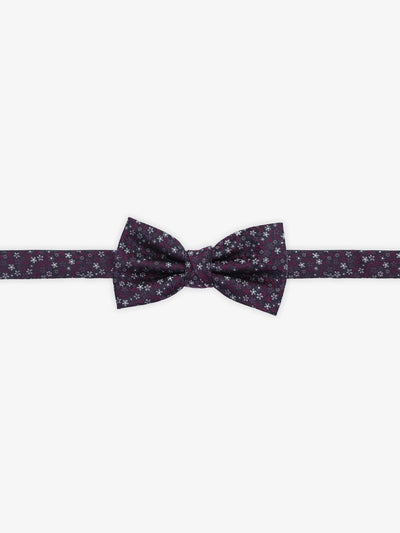 Nœud papillon fantaisie bordeaux - IZAC