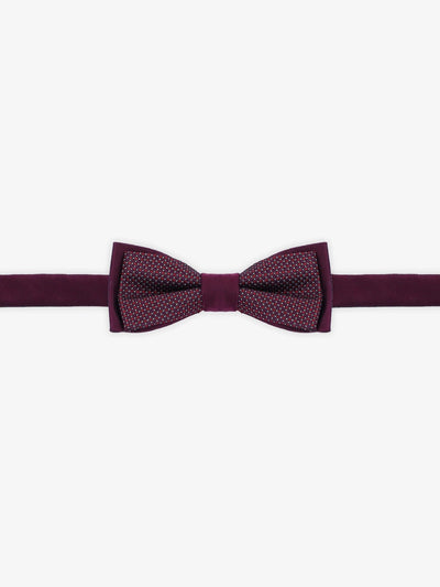 Nœud papillon fantaisie bordeaux - IZAC