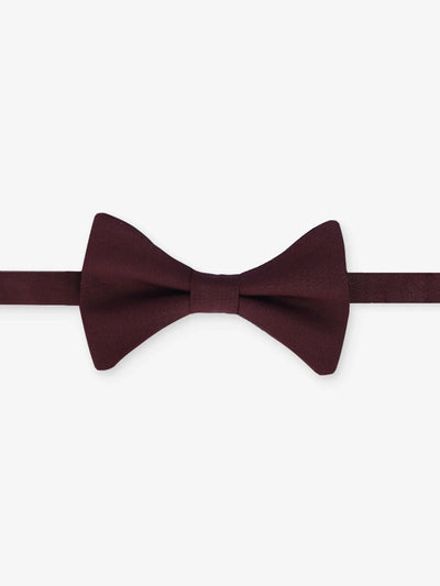 Nœud papillon uni prune - IZAC