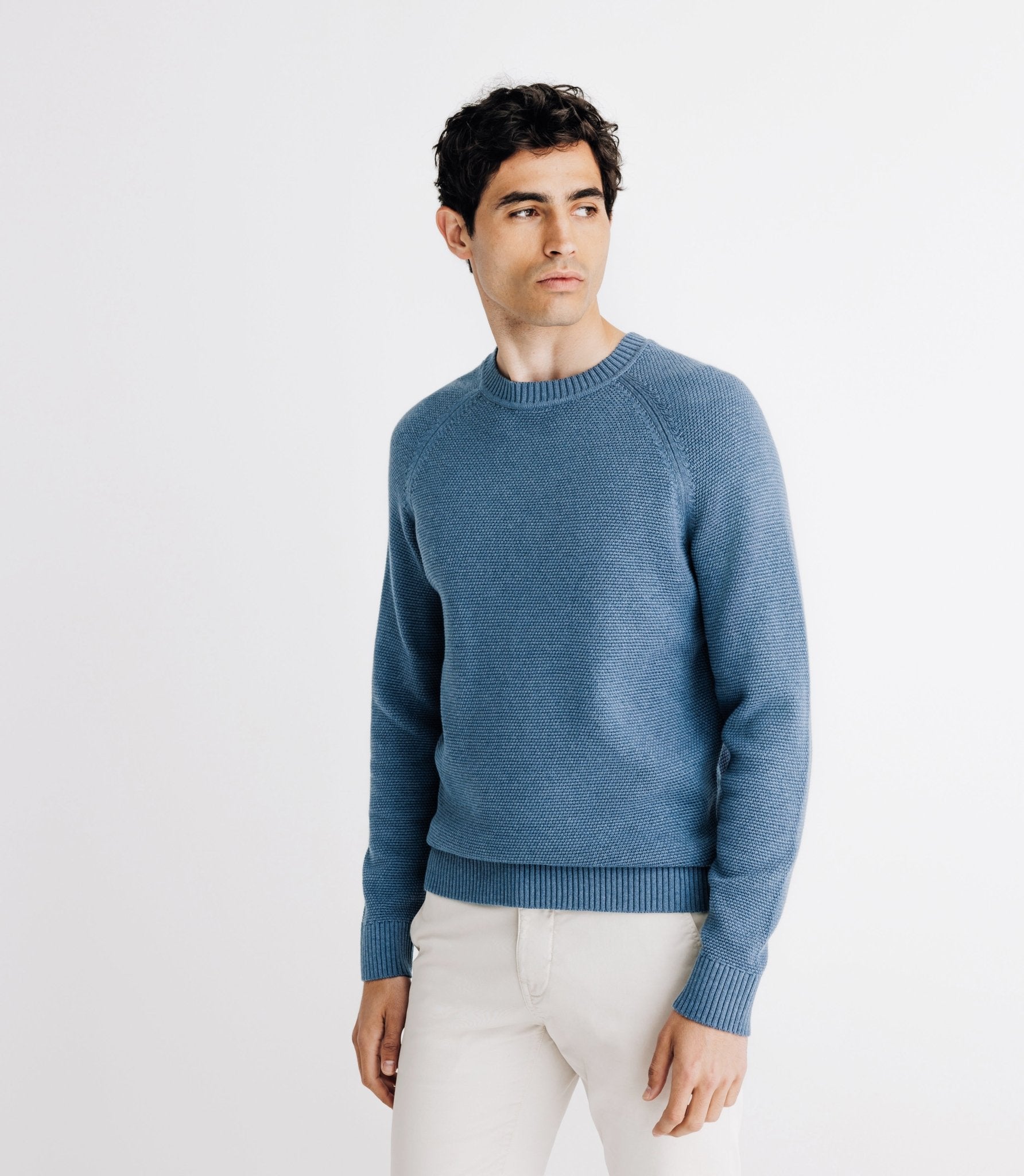 Pull col rond jeux de point indigo - IZAC