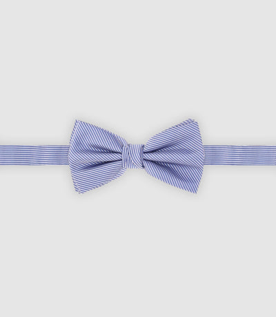 Nœud papillon rayé bleu - IZAC